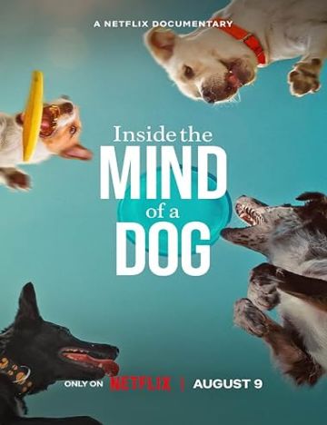 Vegamovies - Inside The Mind Of A Dog (2024) Poster