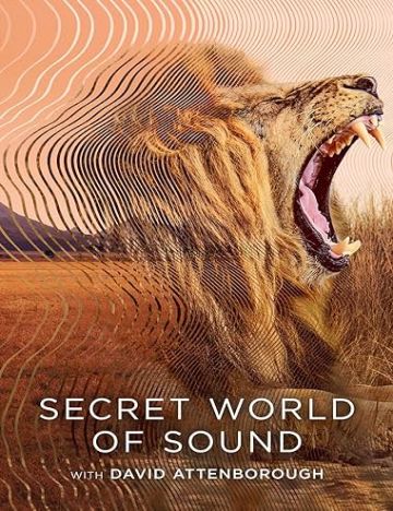 Secret World of Sound with David Attenborough (2024) Poster